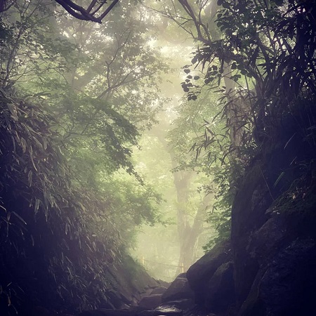 風景