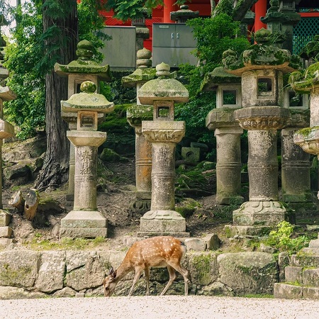 奈良県